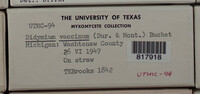Image Associated With the Occurence